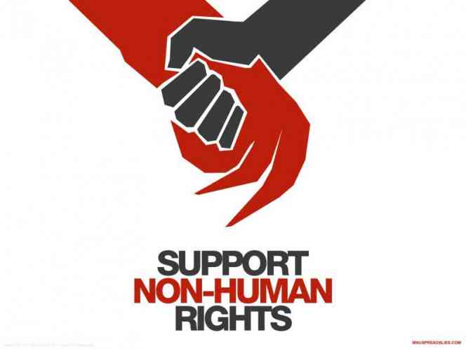 нелюди, нон хьюман райт, права, non human rights.jpg