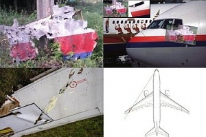 Немецкие эксперты и ОБСЕ: самолет ВВС Украины расстрелял малазийский «Боинг»